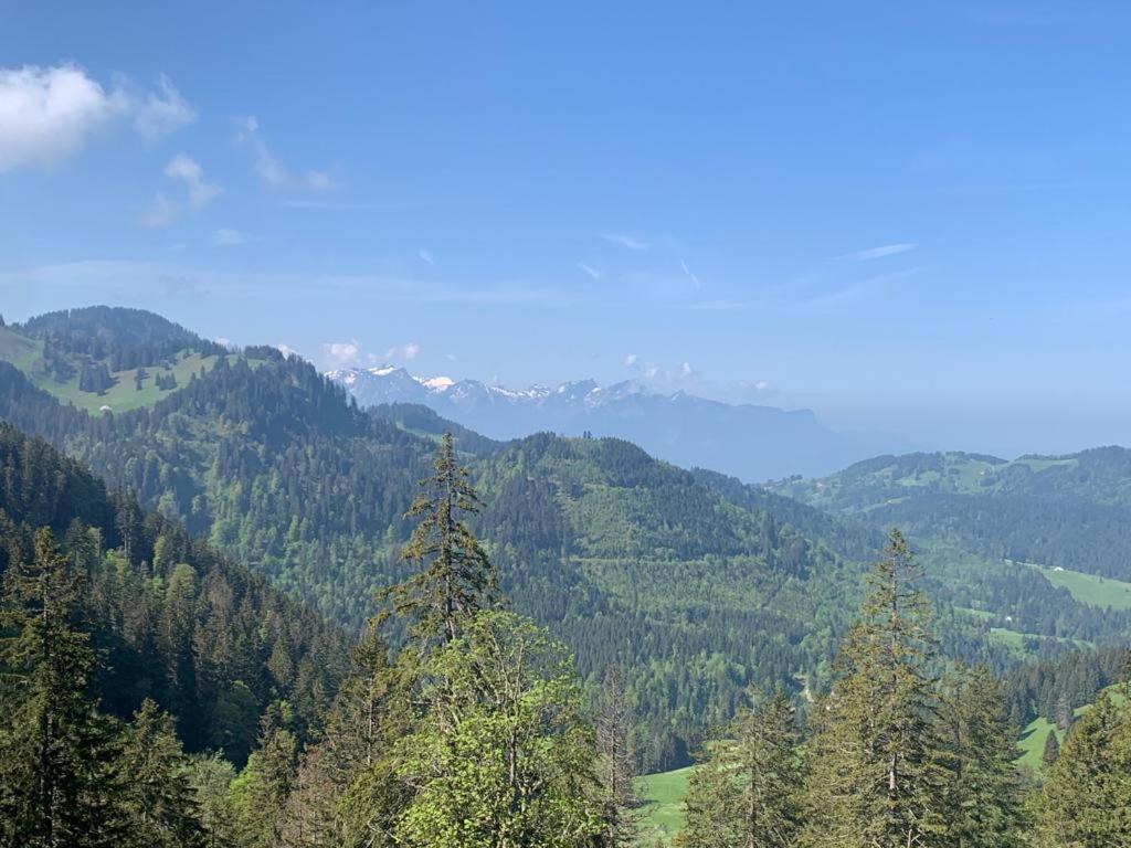 Boutique Hotel Corbetta - Spa 60M2 - La Montagne A 5 Minutes De L'Autoroute A12 Aux Paccots Sur Montreux - Nouveau Loft Familial - Profitez Du Lac Leman Et Des Montagnes En Meme Temps Les Paccots Dış mekan fotoğraf